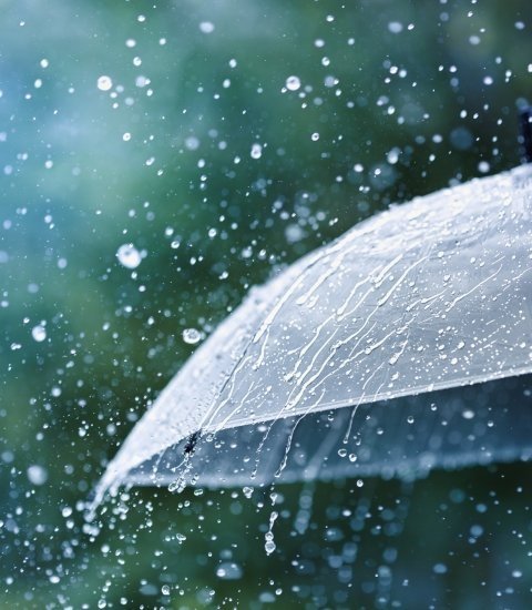 extra foto ter illiustratie